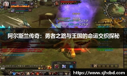 阿尔斯兰传奇：勇者之路与王国的命运交织探秘