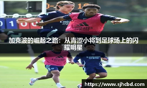 BG大游官网