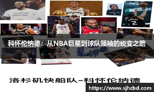 BG大游官网
