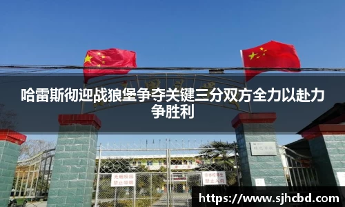BG大游集团，BG大游官方网站