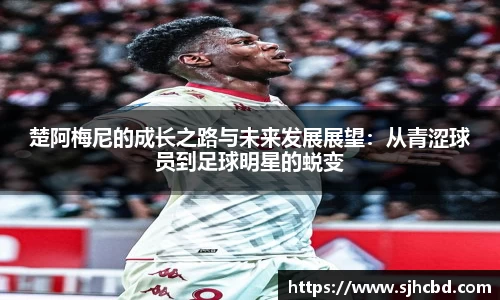 3377体育app